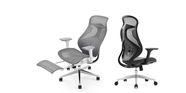 Ergoflex