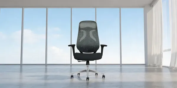 Ergoflex
